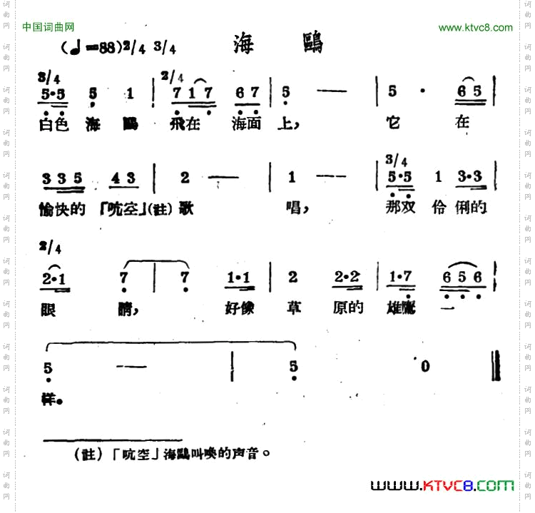海鸥哈萨克民歌