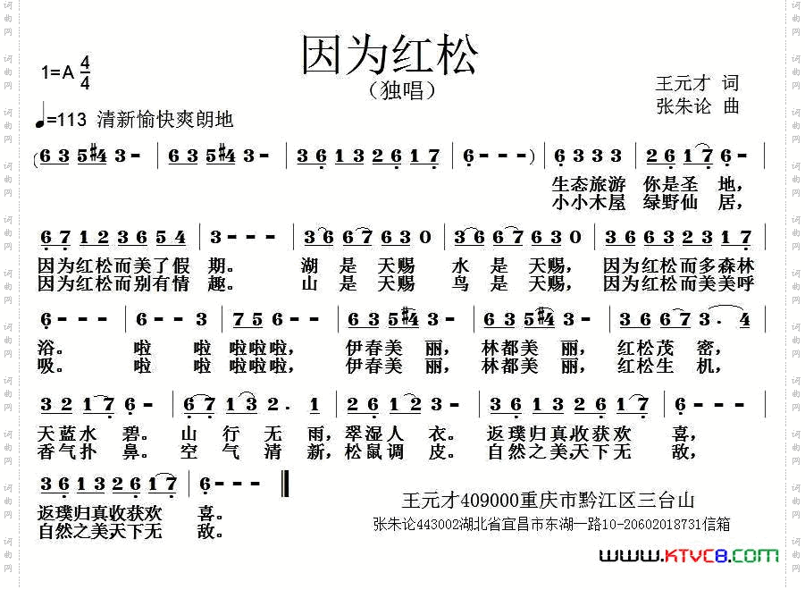 因为红松