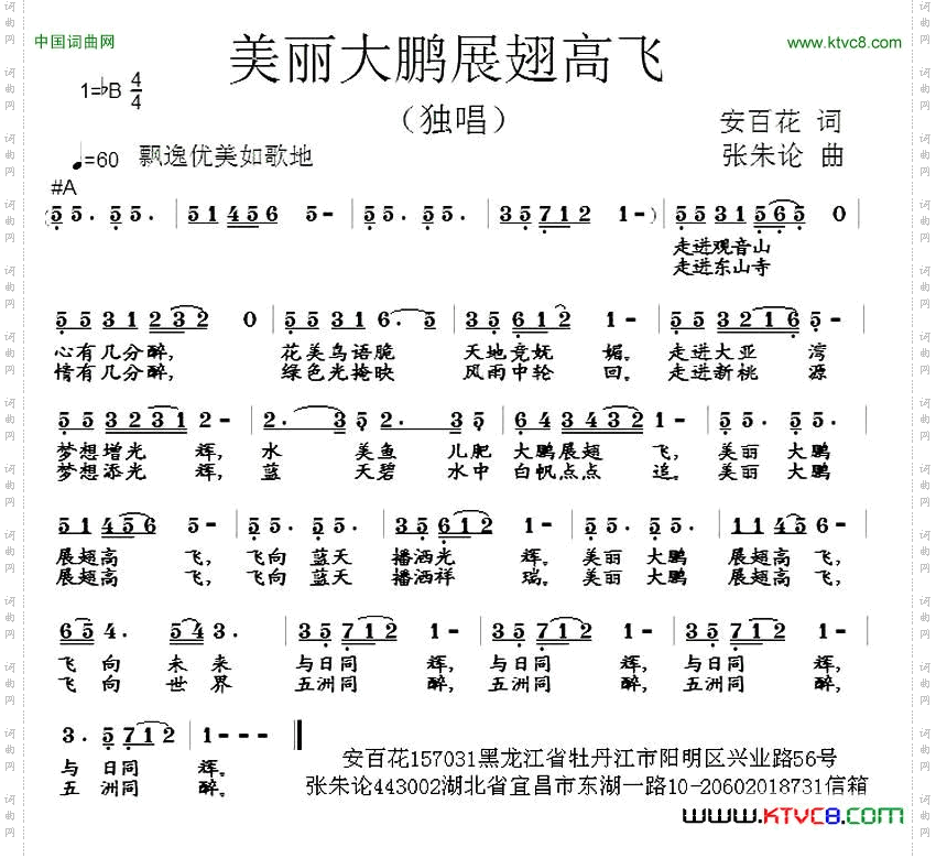 美丽大鹏展翅高飞