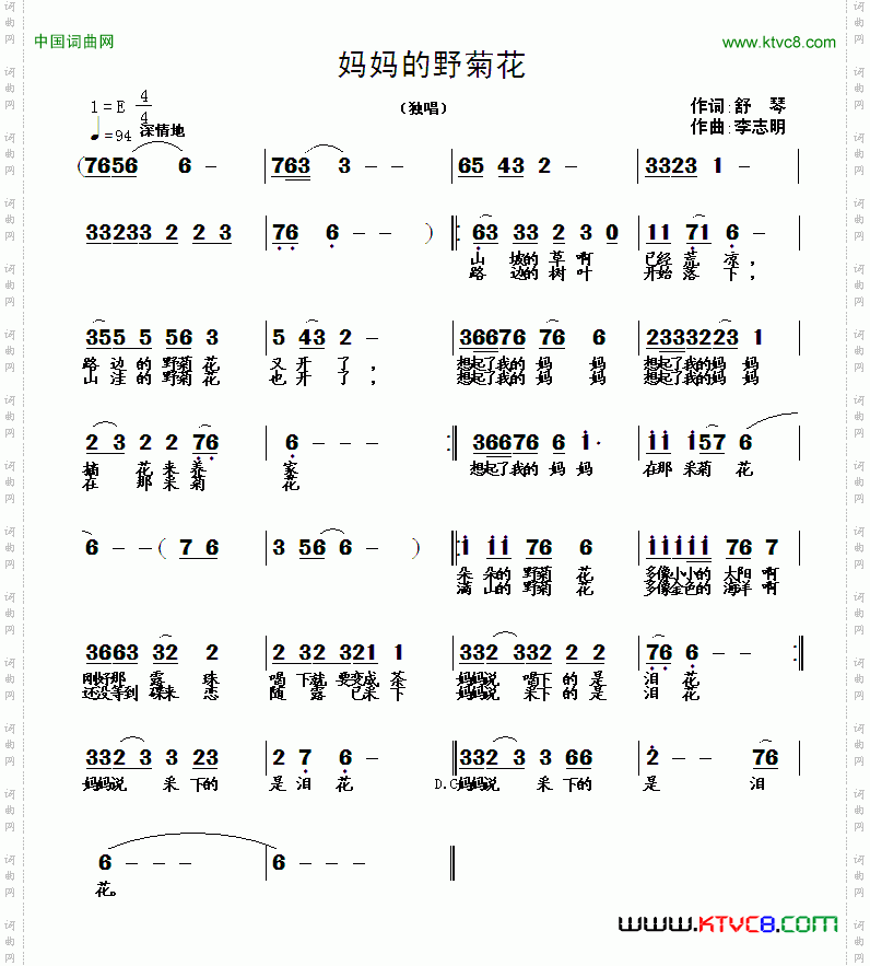 妈妈的野菊花