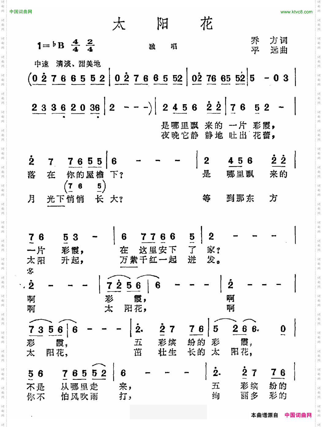 太阳花