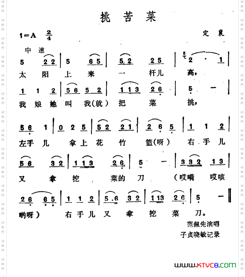 挑苦菜