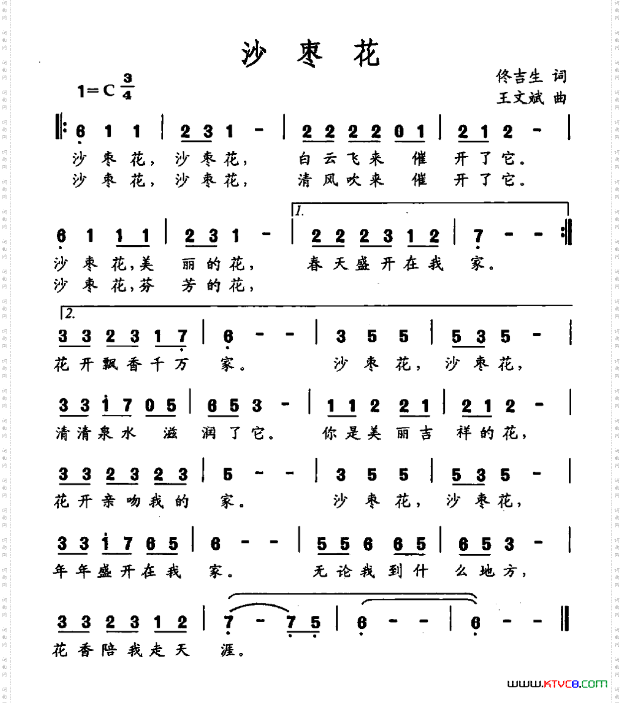 沙枣
