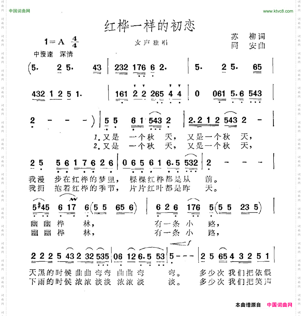 红桦一样的初恋