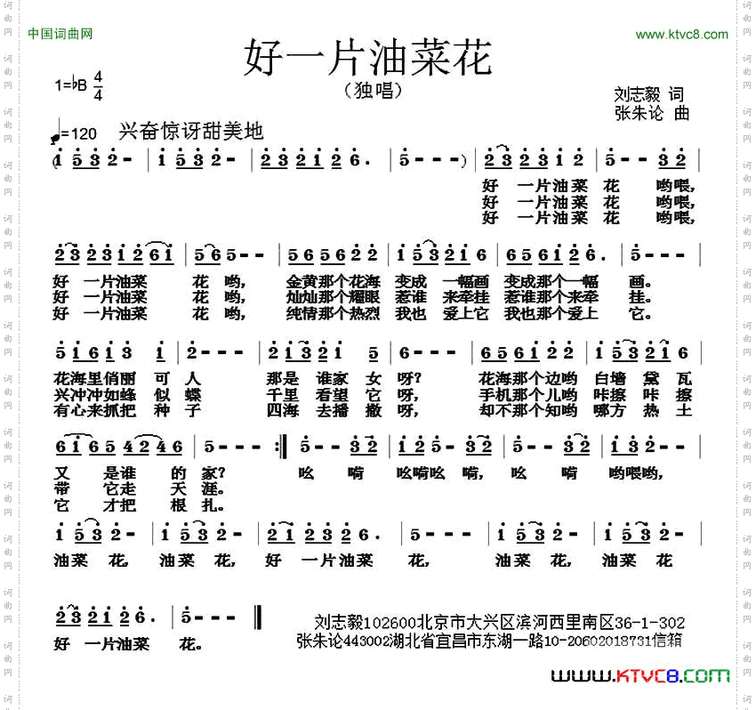 好一片油菜花