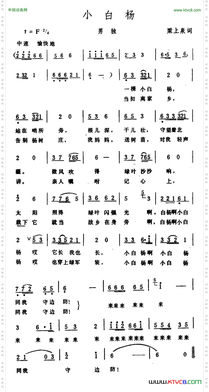 小白杨
