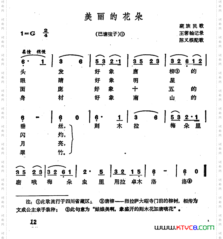 美丽的花朵巴塘弦子