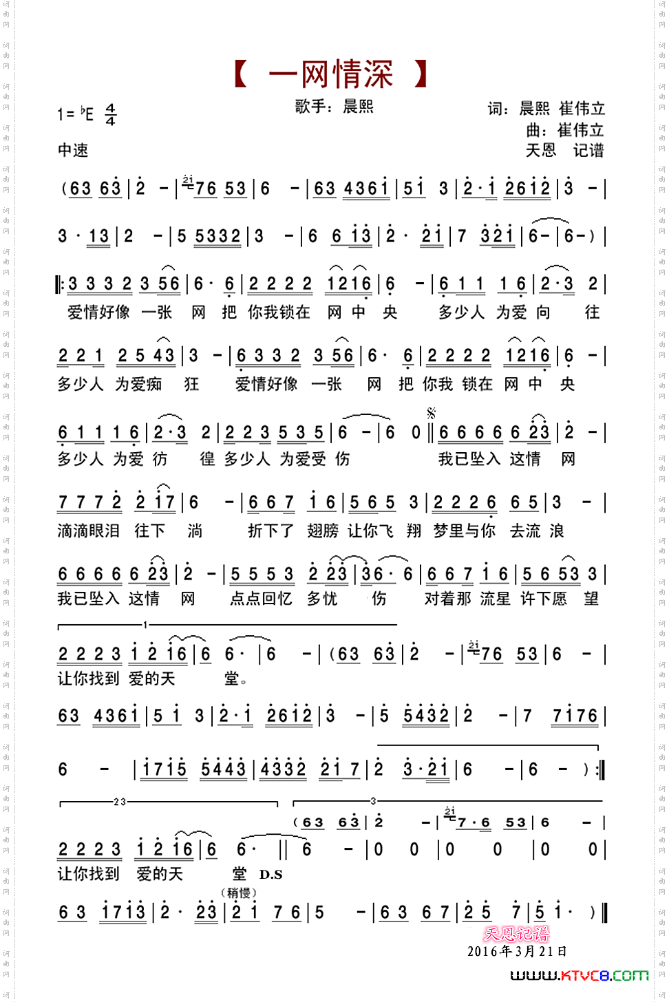 一网情深