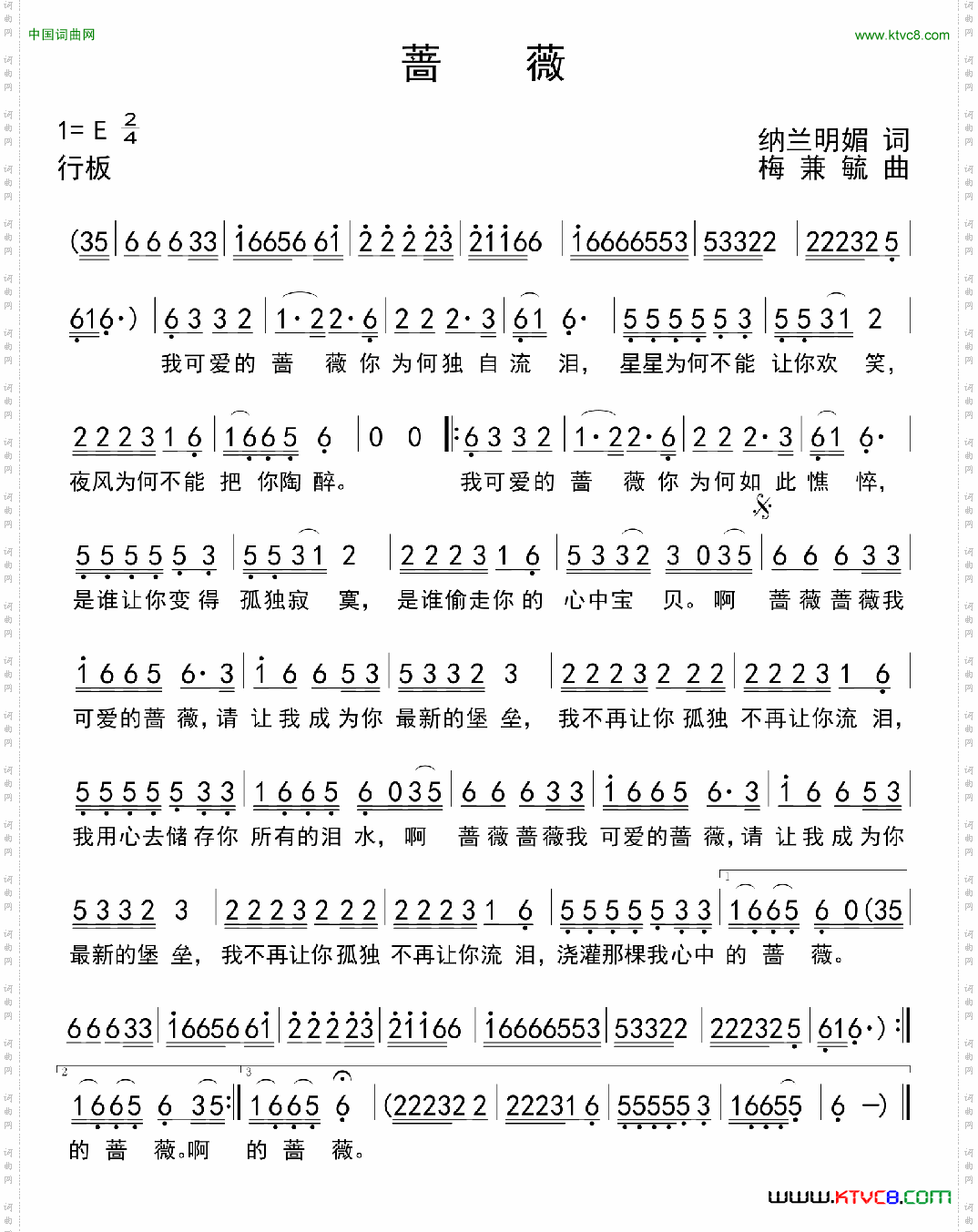 蔷薇