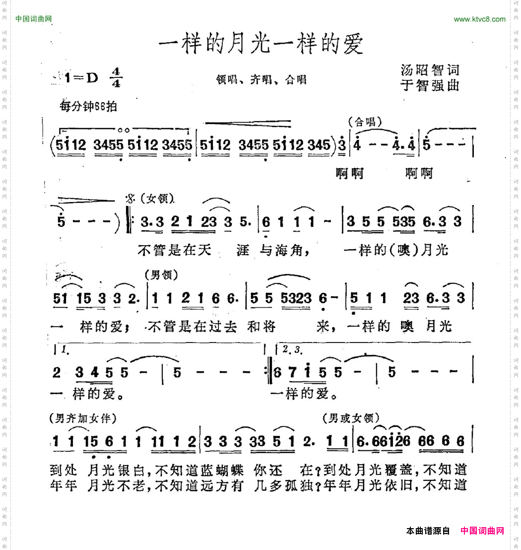 一样的月光一样的爱