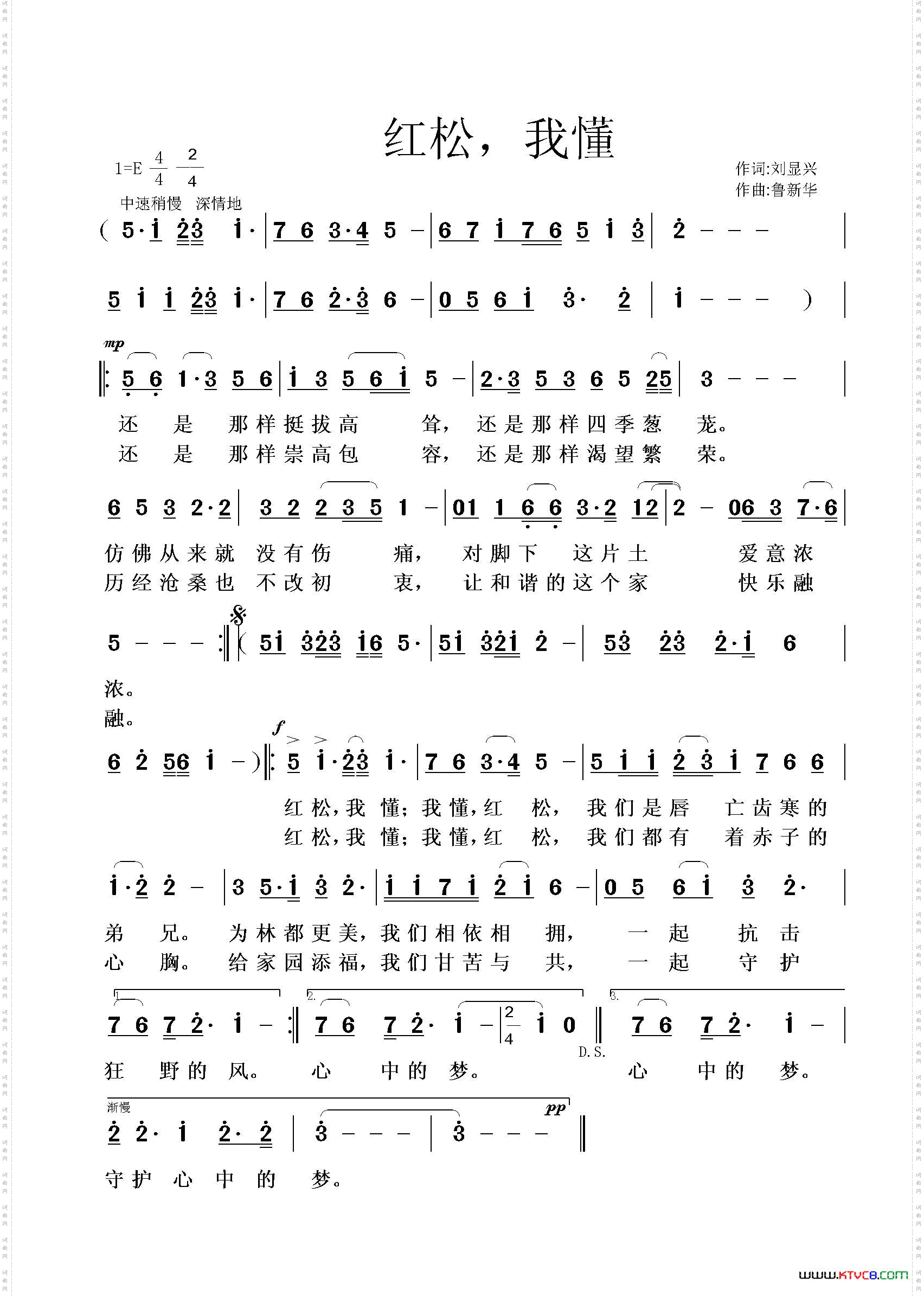 红松，我懂