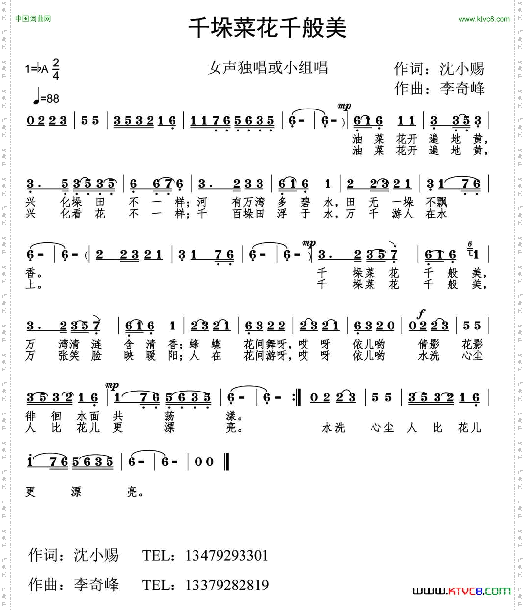 千垛菜花千般美