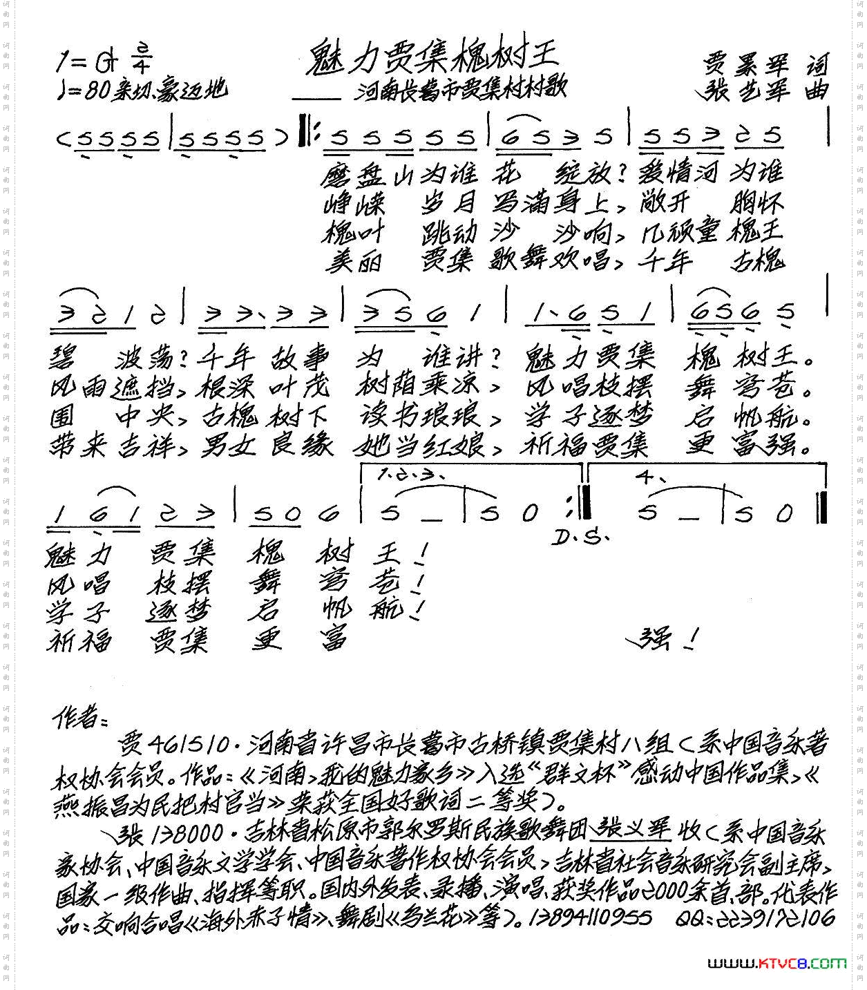 魅力贾集槐树王