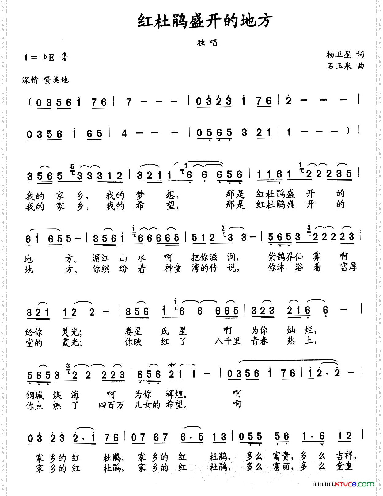 红杜鹃盛开的地方