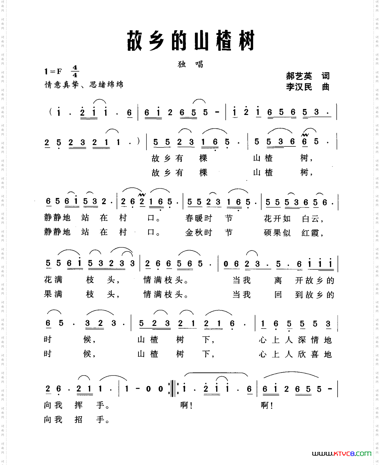 故乡的山楂树
