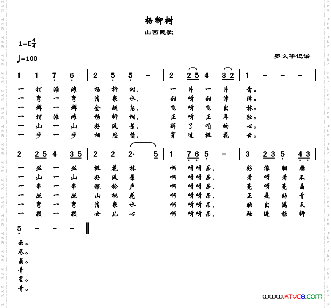 杨柳树
