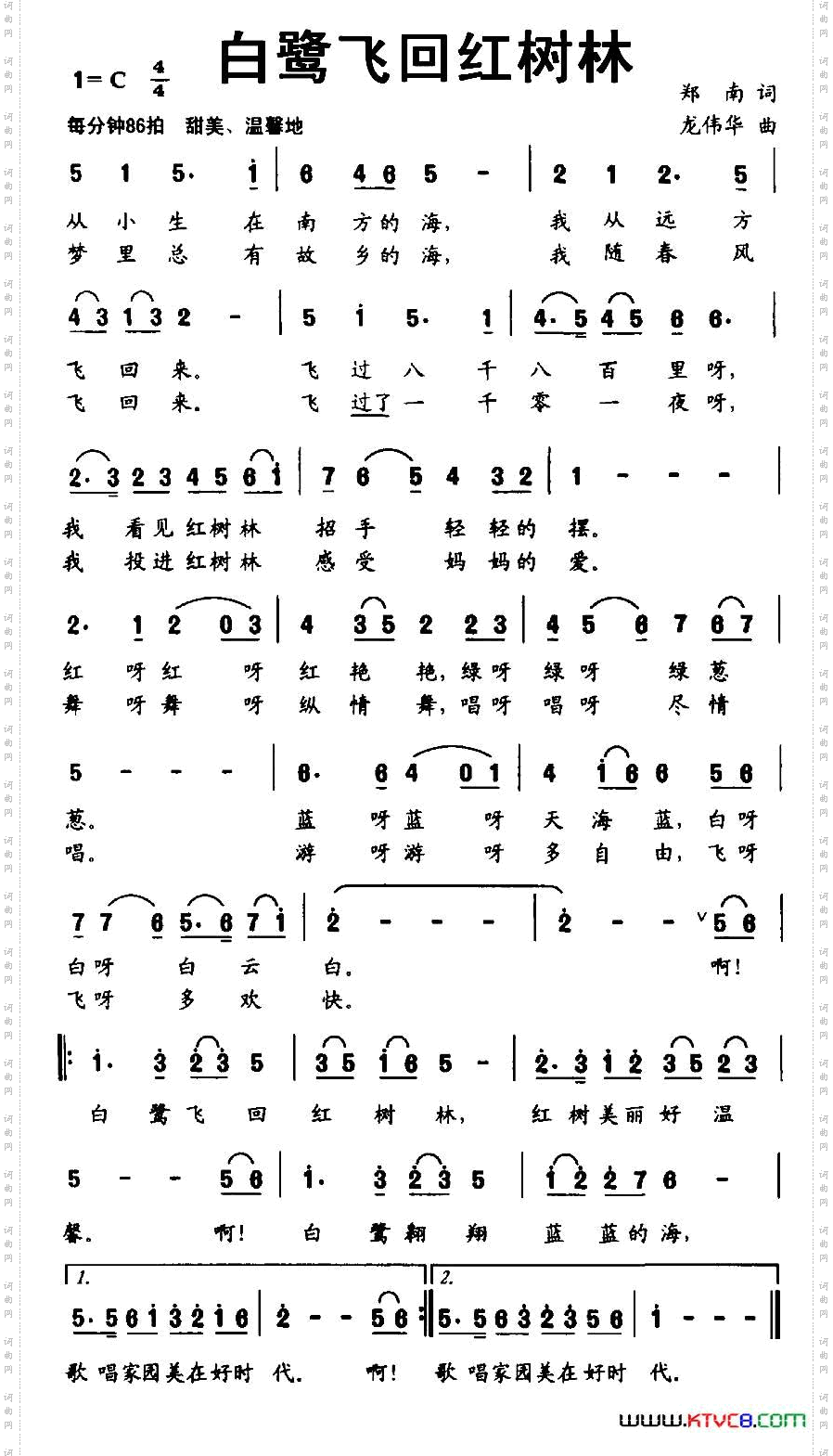 白鹭飞回红树林