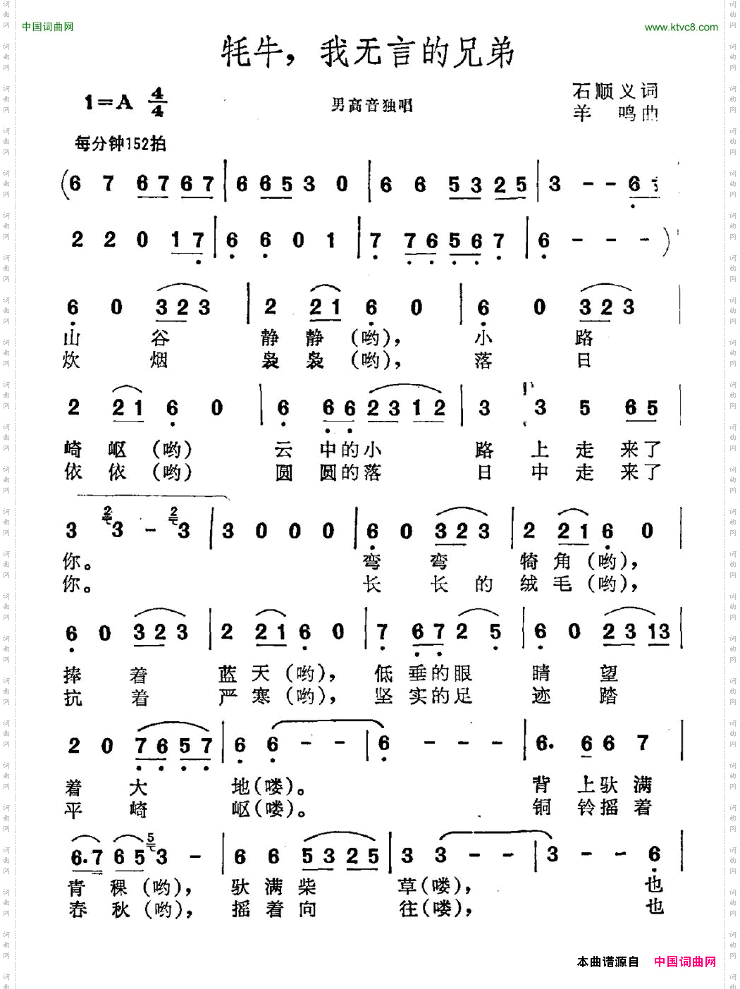 牦牛，我无言的兄弟