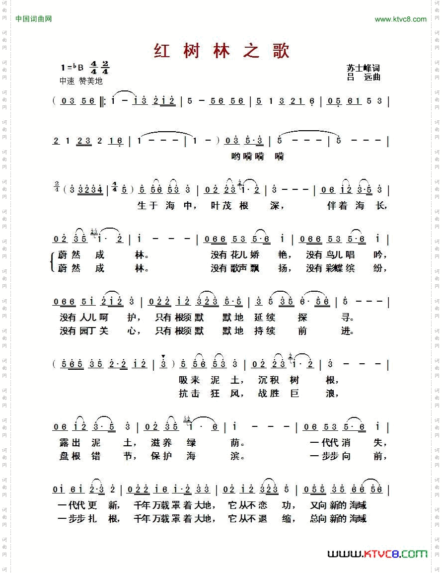 红树林之歌
