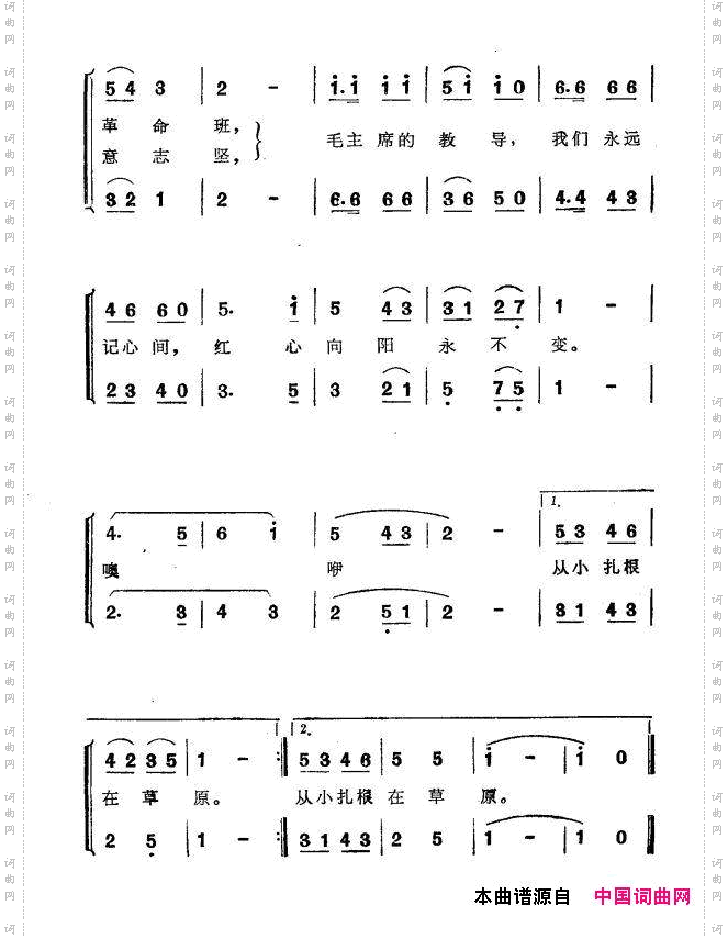 从小扎根在草原