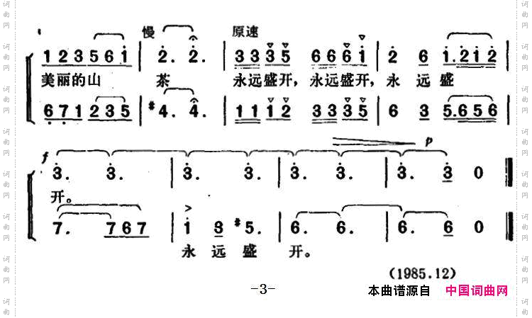 山茶花为英雄开