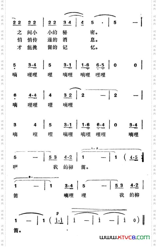 我的柳笛