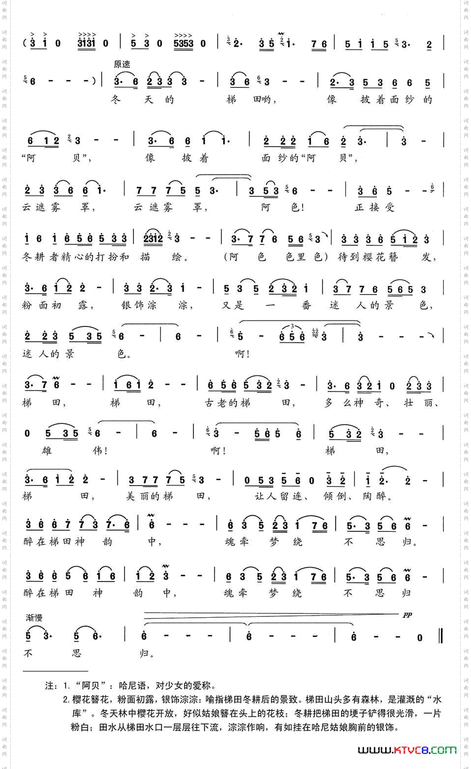 梯田神韵_祝贺红河哈尼梯田“申遗”成功