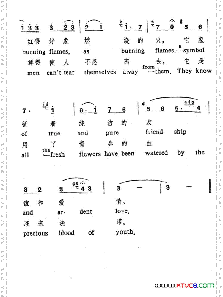 花儿为什么这样红中英文对照