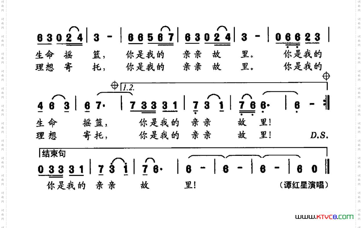 桑植之恋