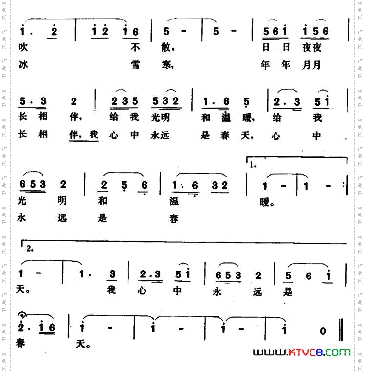 你比星星更灿烂