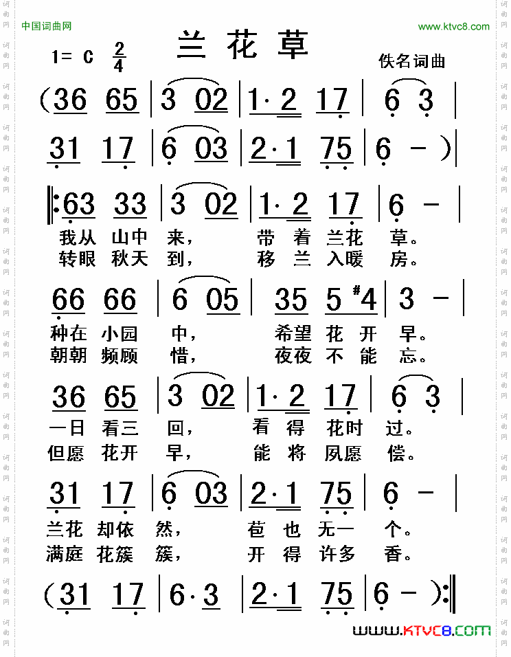 兰花草