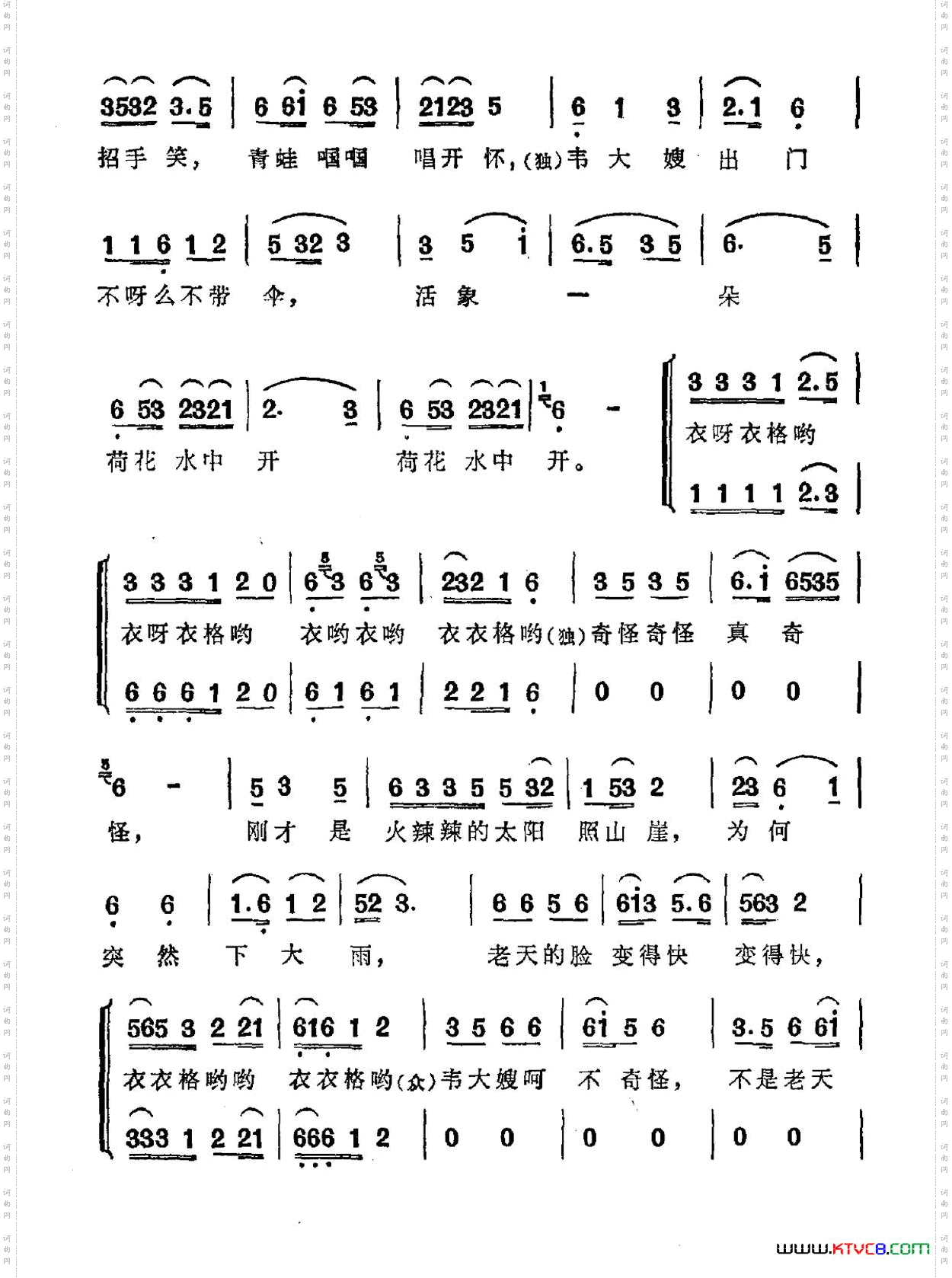 走寨