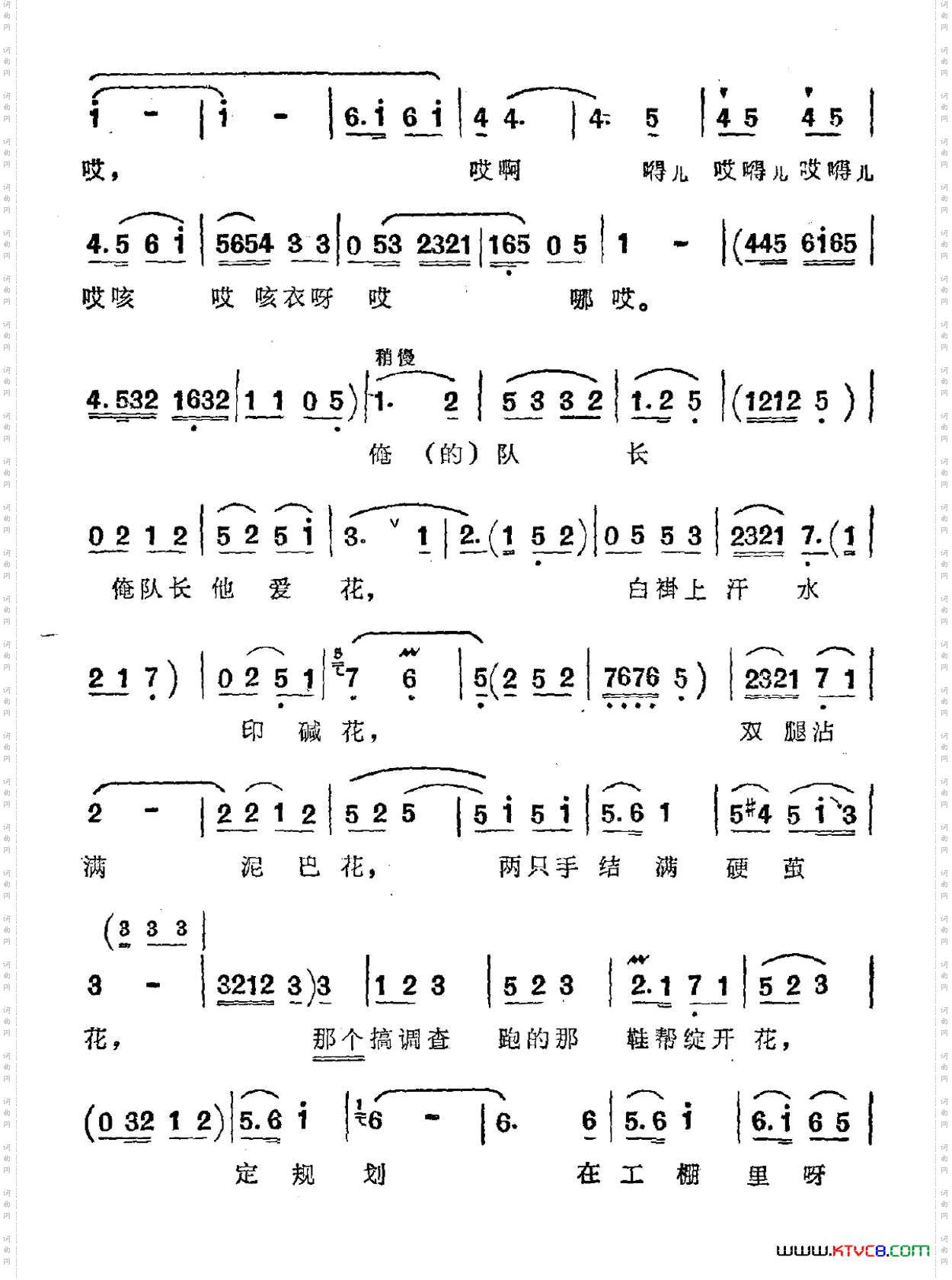 队长爱花