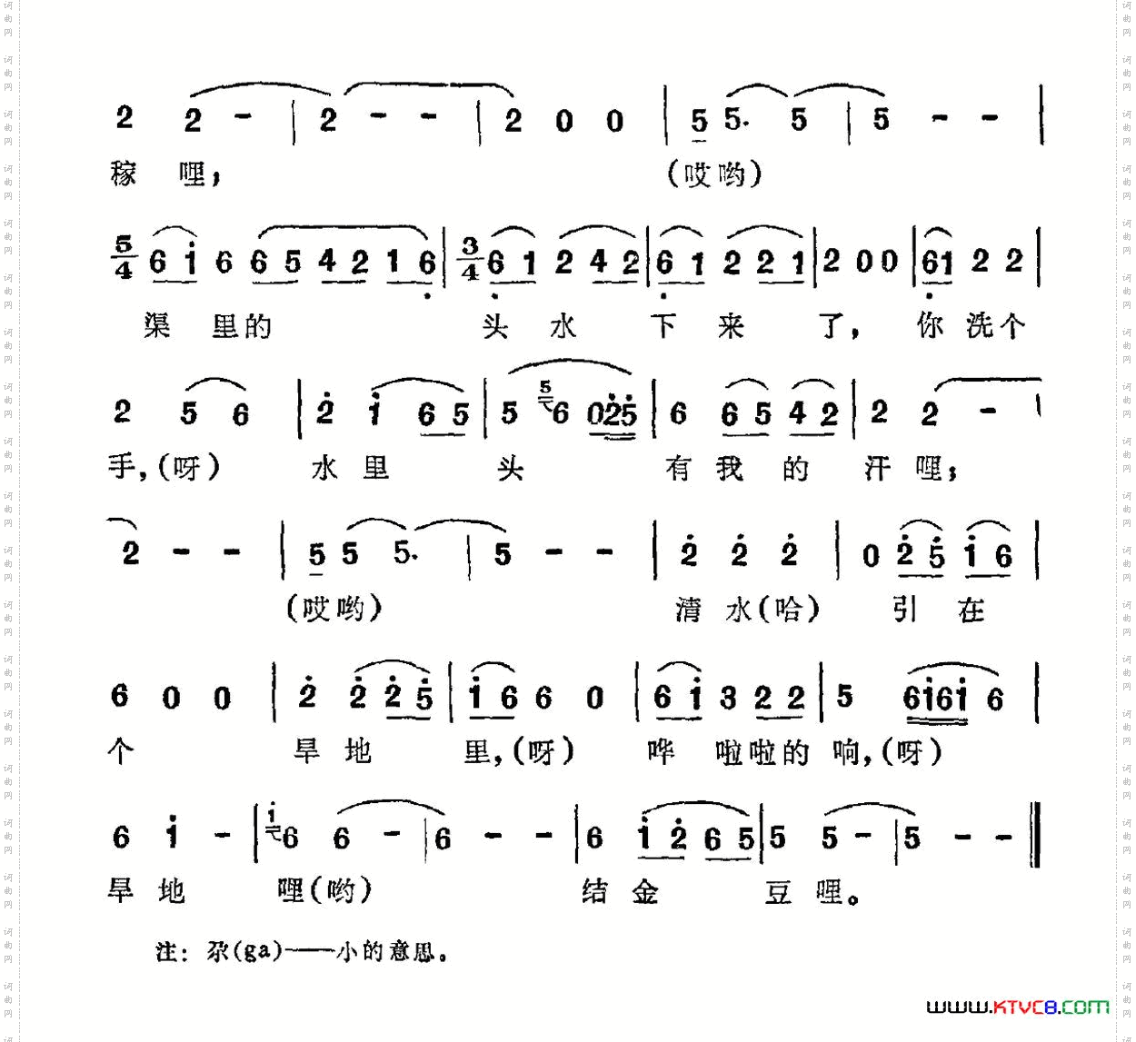旱地里结金豆哩撒拉族“花儿”