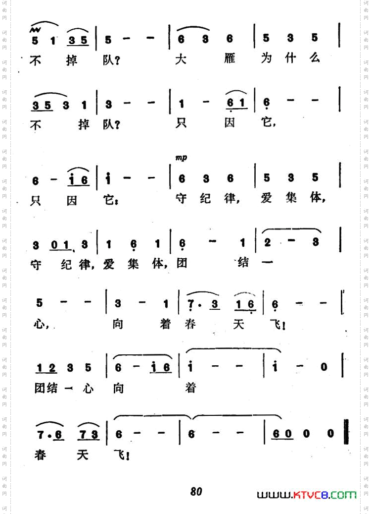 大雁为什么不掉队