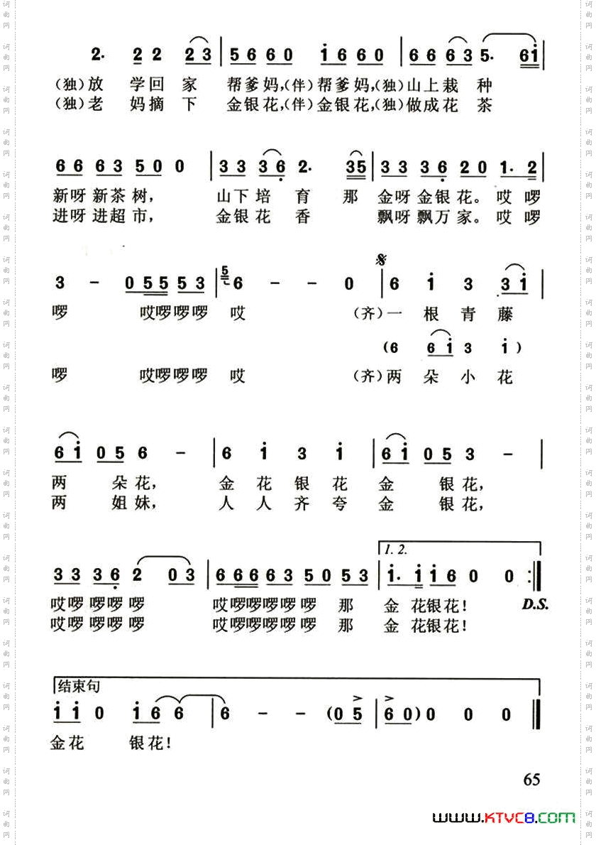 金花银花金银花