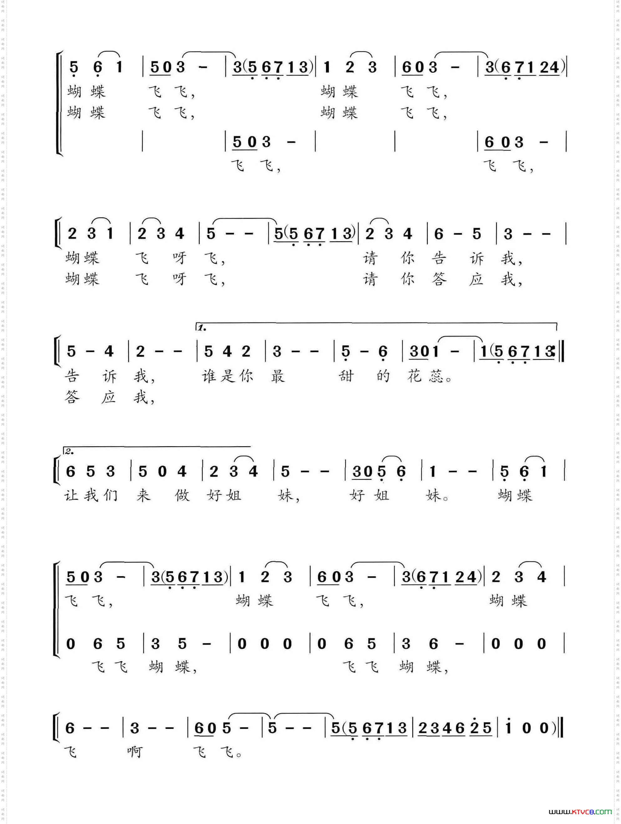 蝴蝶飞飞