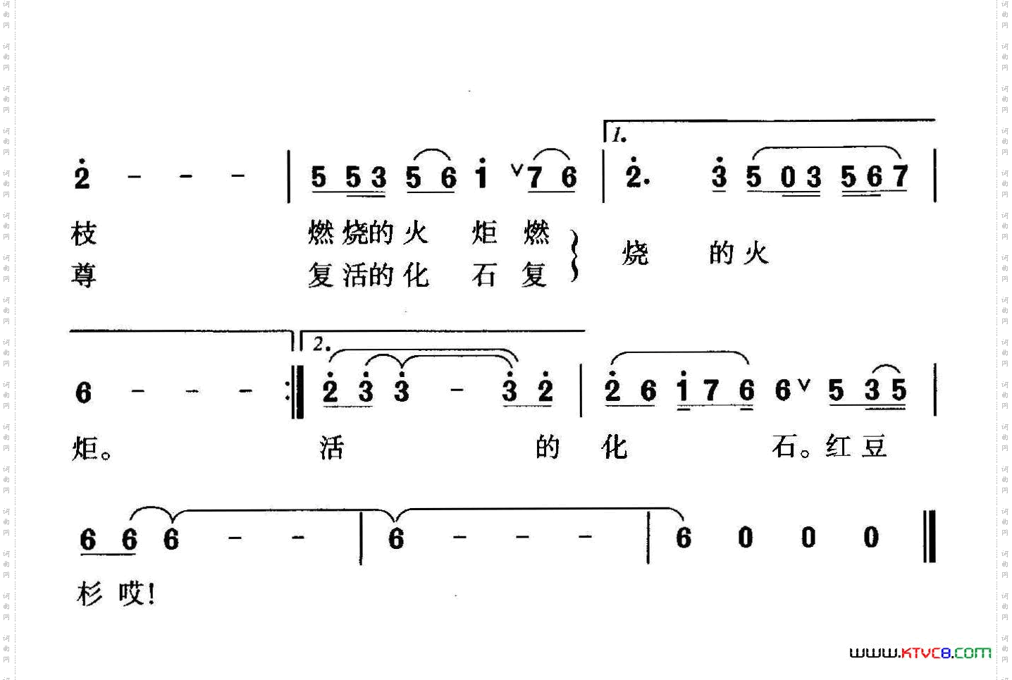 铜钹山上红豆杉