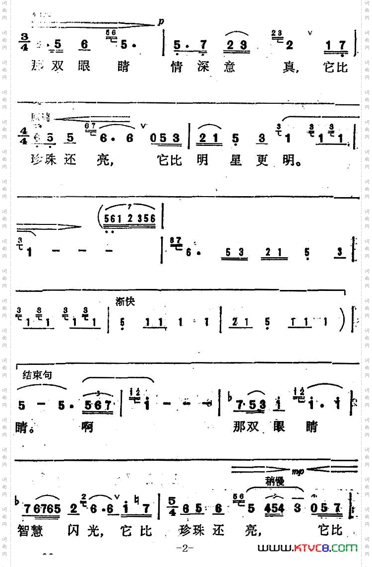珍珠姑娘的眼睛