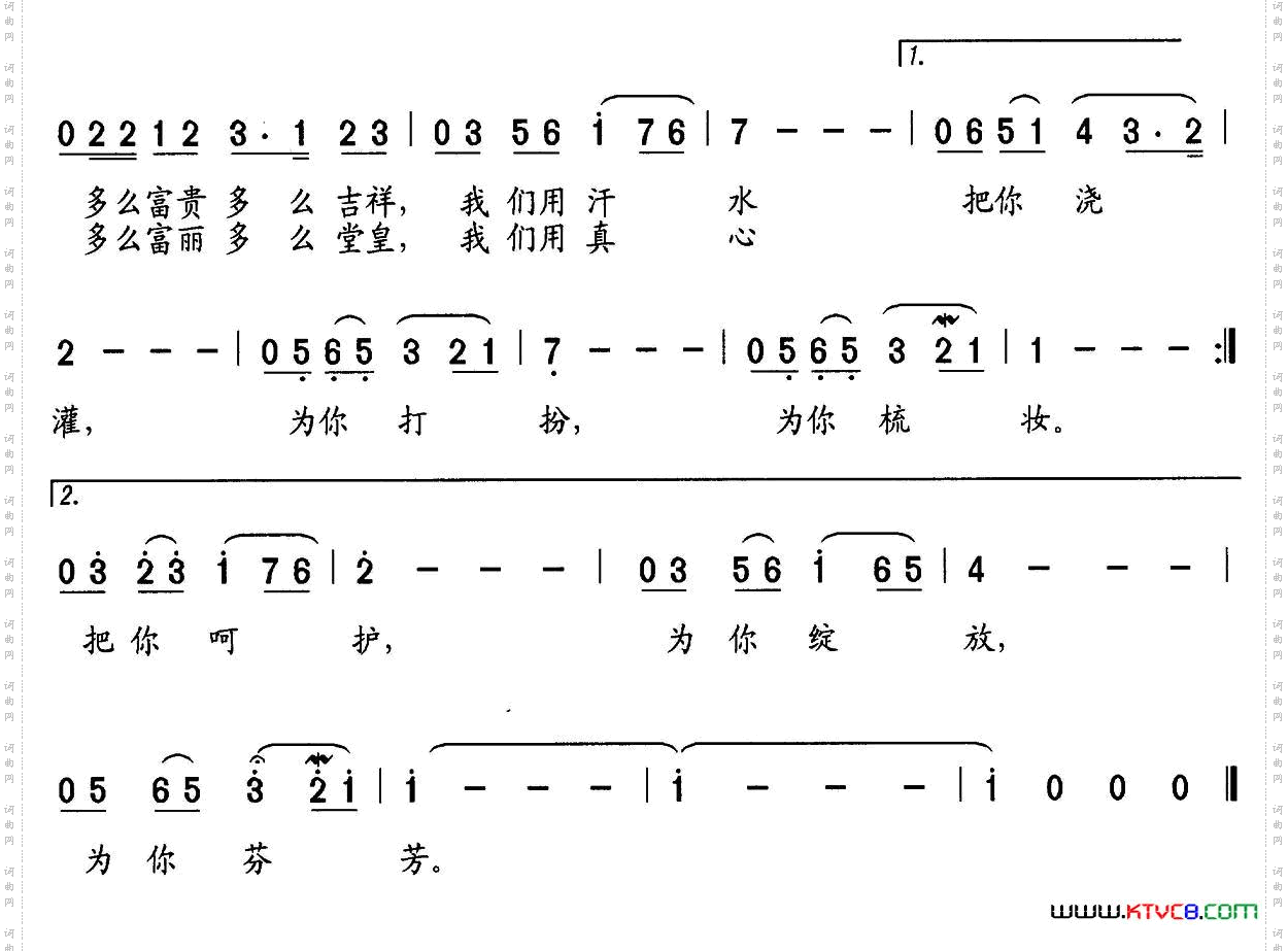 红杜鹃盛开的地方