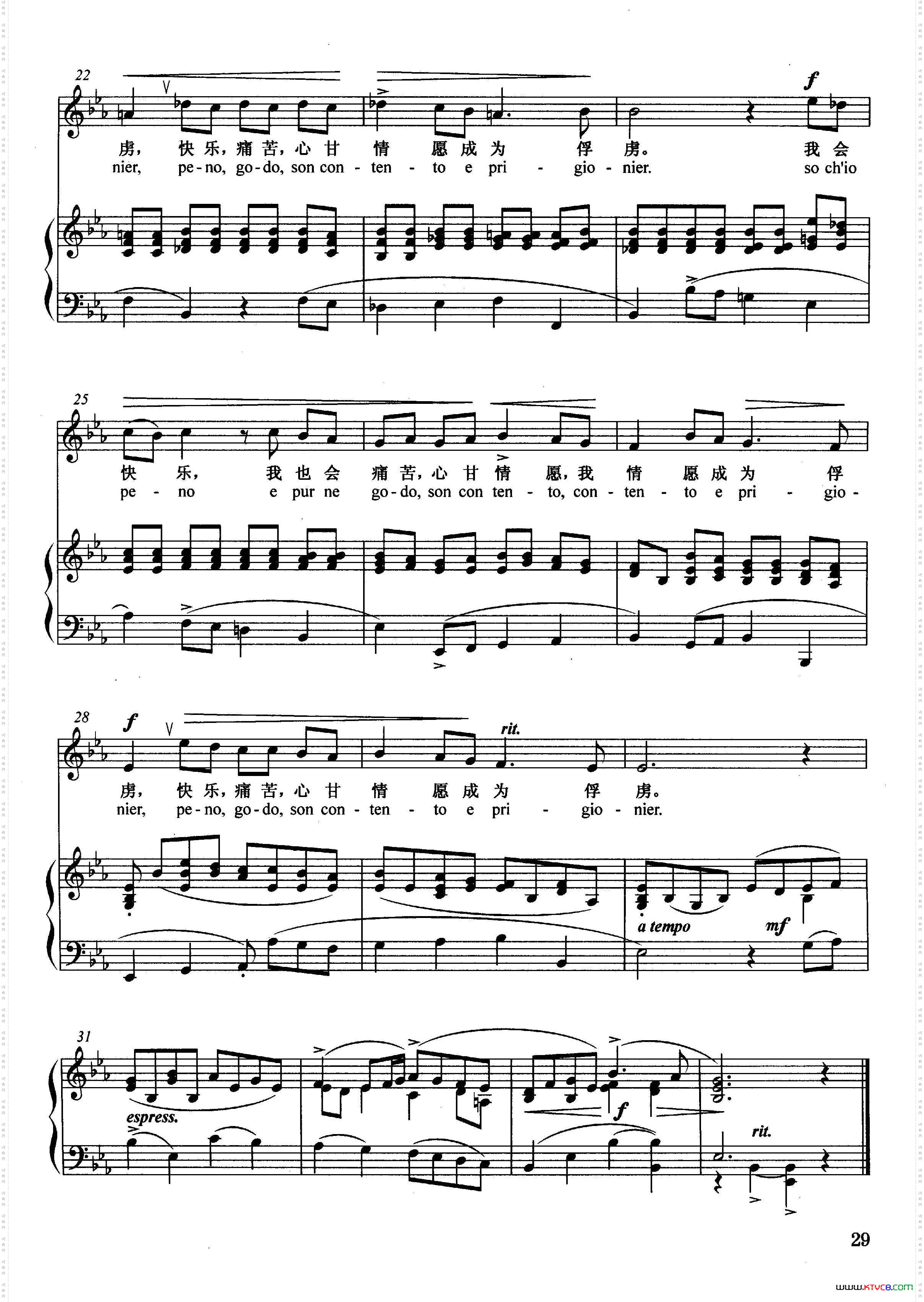 可爱的圈套正谱