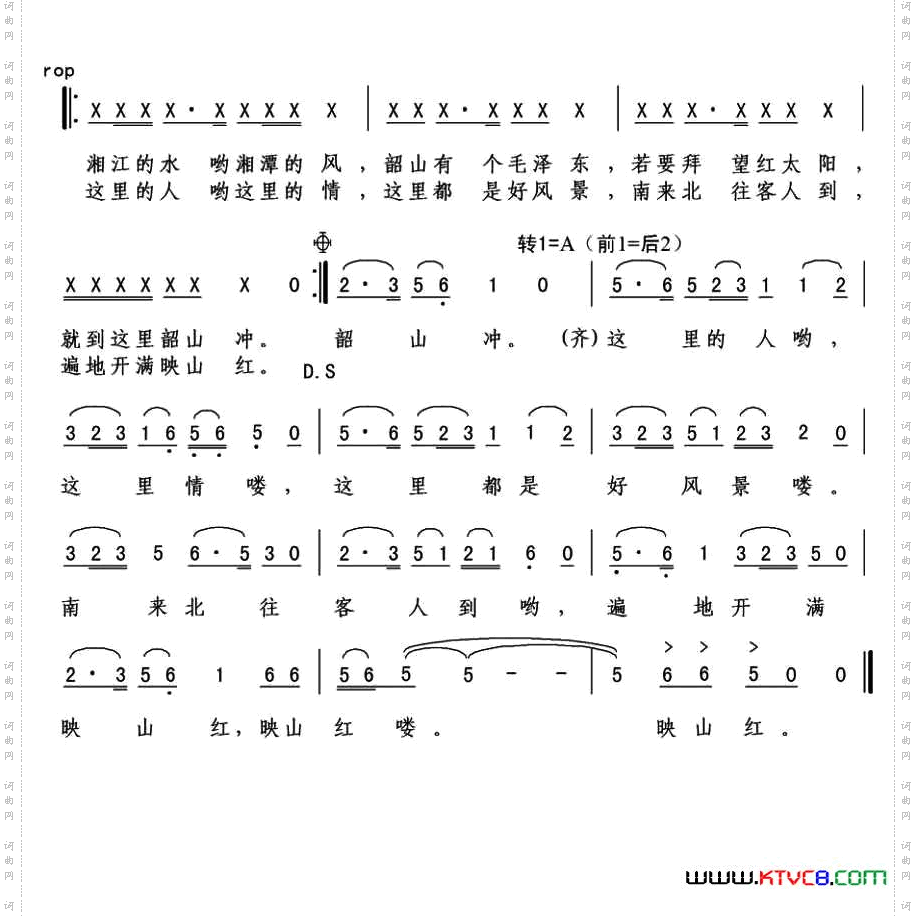 遍地开满映山红