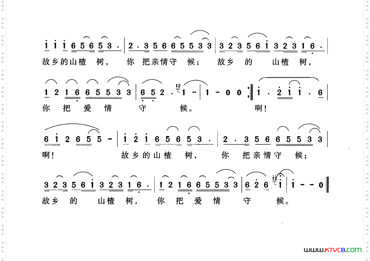 故乡的山楂树