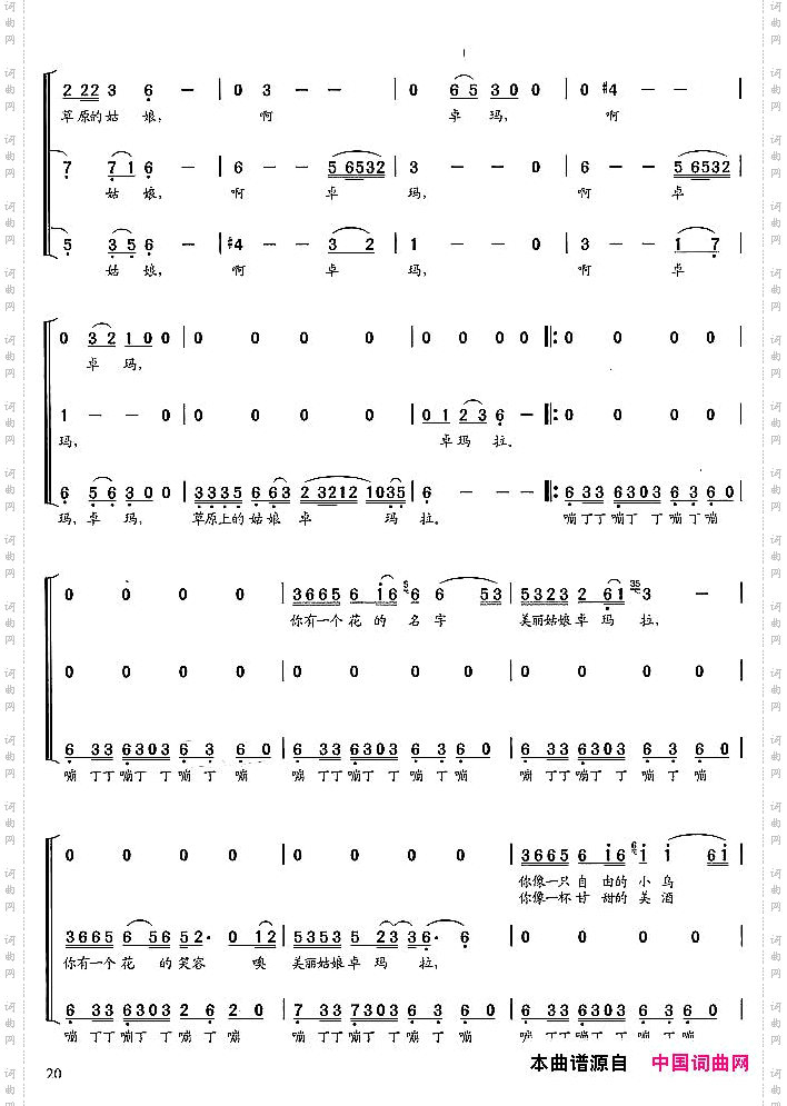 卓玛_陈国权编合唱