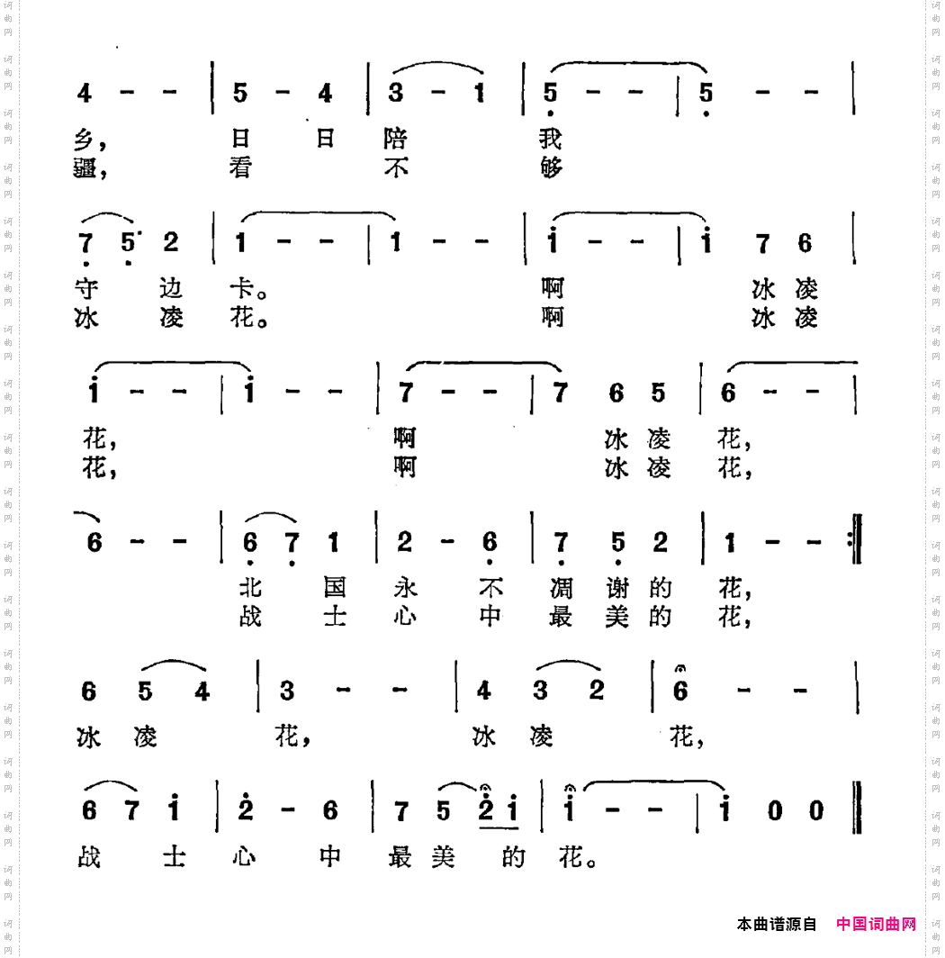 冰凌花