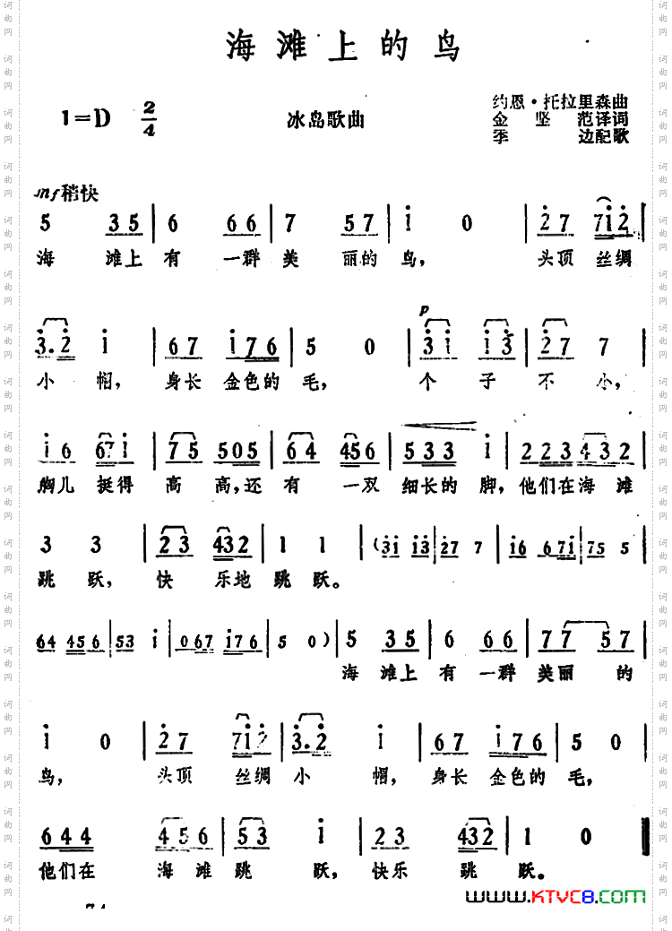[冰岛]海滩上的鸟
