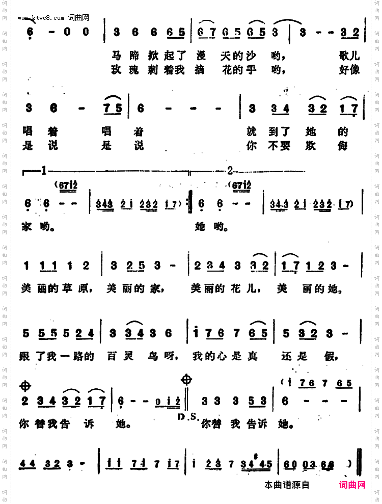 我的她