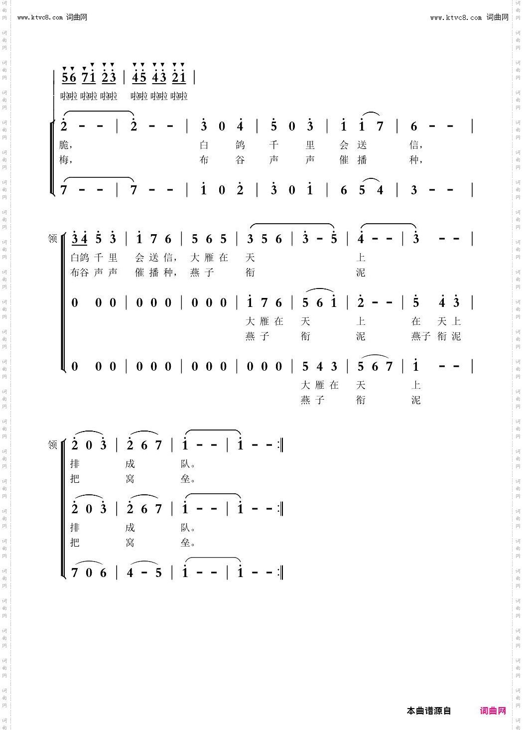 什么鸟_童声合唱