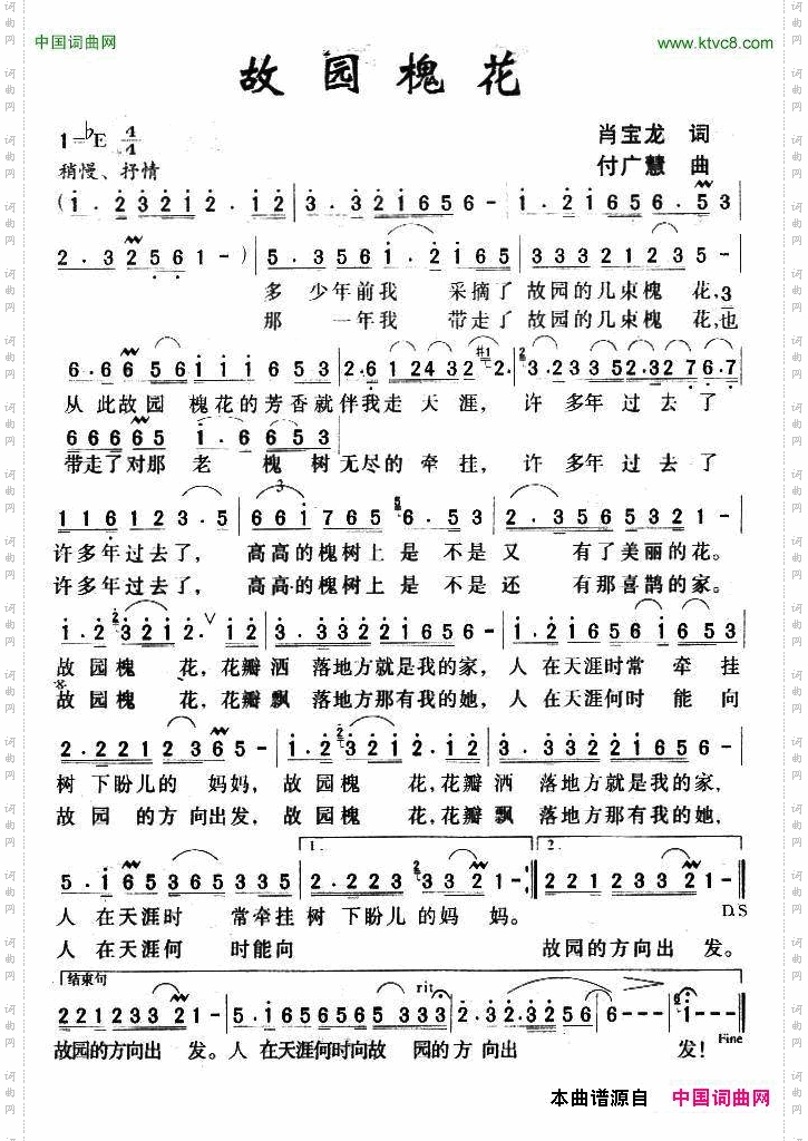 故园槐花