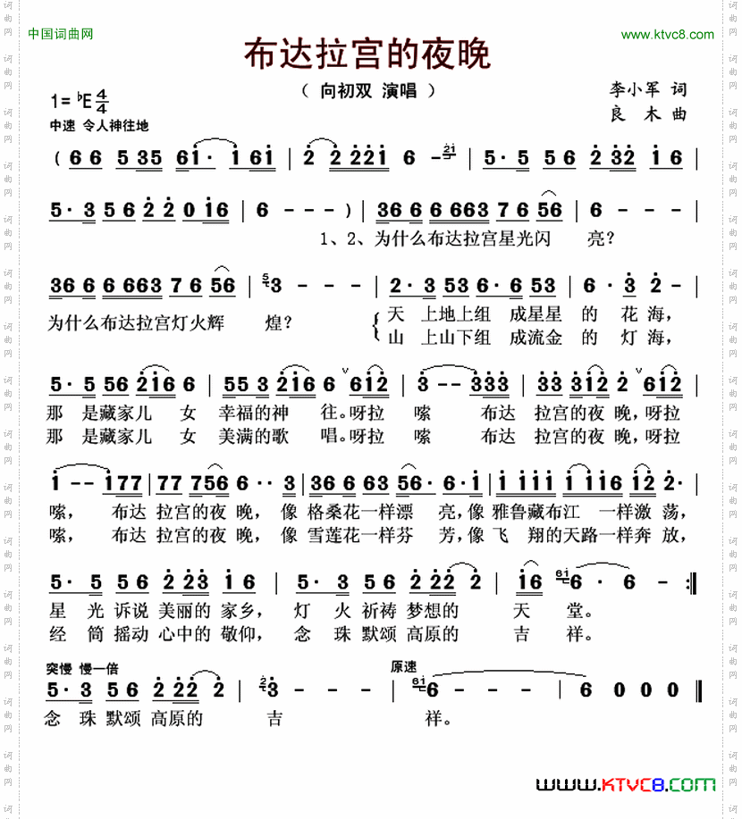 布达拉宫的夜晚